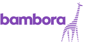 bambora-logo750x385_300
